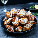 Large Frozen Babylonia Snails
