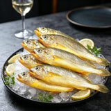Frozen Fresh Small Yellow Croaker